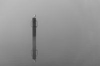 Mist aan zee