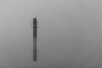 Mist aan zee van Mooi-foto van Well