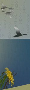 Oiseaux libres