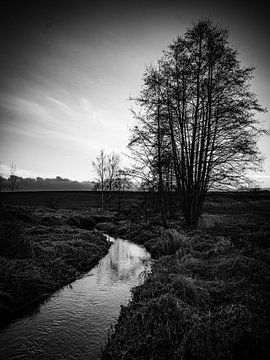 Stilte - Romantische beek in het Waldviertel van Juergen Pichler Fotografie