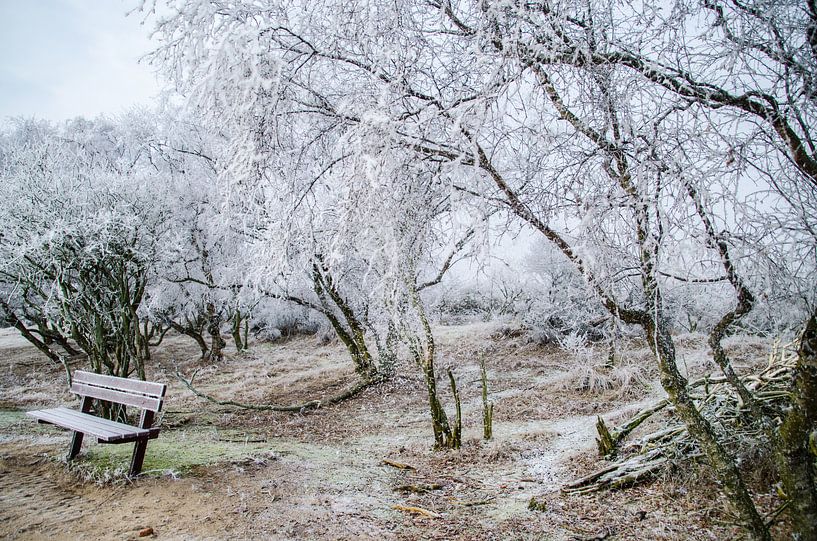 Neem plaats, koning winter is er by Yvonne van der Meij