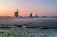 Sunrise behind Leidschendam's 3 windmills by Gijs Rijsdijk thumbnail