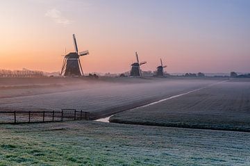 Sunrise behind Leidschendam's 3 windmills by Gijs Rijsdijk