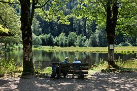 Nonnenmattweiher- im Schwarzwald 4.0 von Ingo Laue