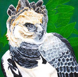 L'aigle harpie et la forêt tropicale néotropicale