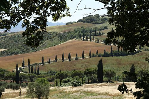 Toscaans landschap