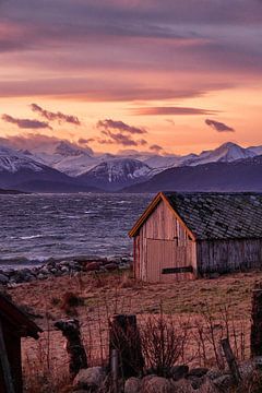 Winter landschap met vissers hut en zonsondergang op Godøy, Ålesund, Noorwegen van qtx