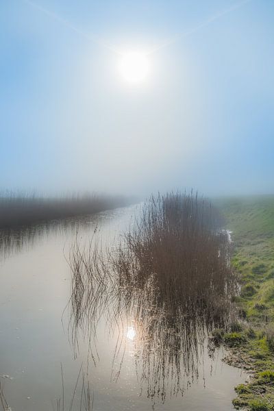 De zon gereflecteerd in een sloot vlak achter de Waddendijk nabij Koehool van Harrie Muis