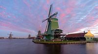 Zaanse Schans Miami Vice style