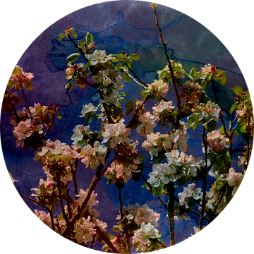 blossom van Yvonne Blokland