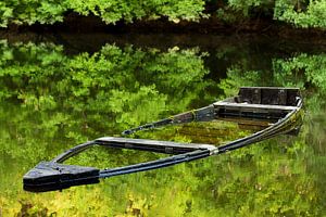 Versunkenes Boot