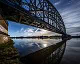Spoorbrug over de Rijn bij Oosterbeek (ochtendlicht) van Michiel van Druten thumbnail