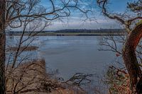 View of the Elbe