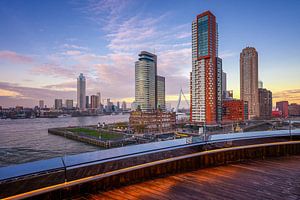Die schönste Aussicht auf Rotterdam