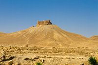 View of the citadel - guardian of the desert