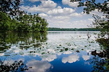 Blauw water