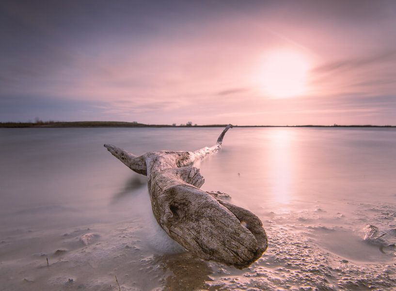View of the sun. by Dirk Keij-Bron