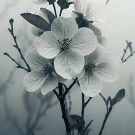 Fleur sur Imagine