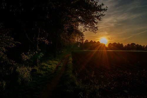 Sunbeams above the Achterhoek countryside
