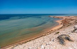 shark bay australia