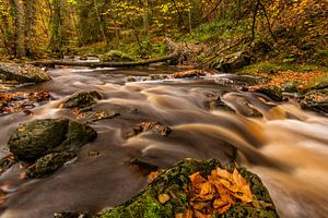 Herbst im Hoëgne-Tal