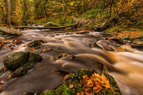 L'automne dans la vallée de l'Hoëgne