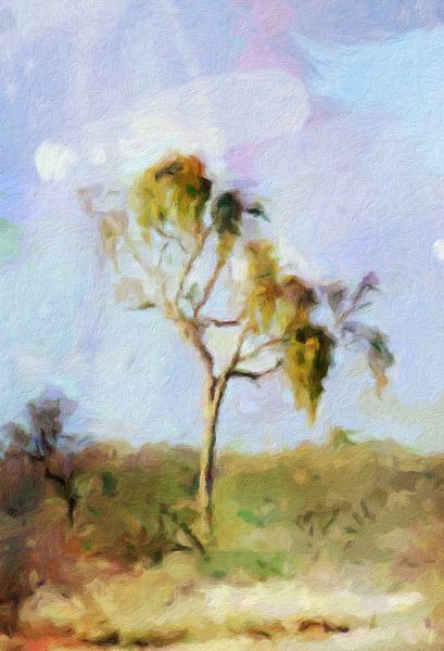 DESERT van Kelly Durieu