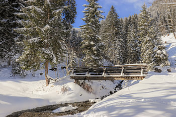 Bridge in the snow