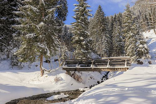 Un pont dans la neige