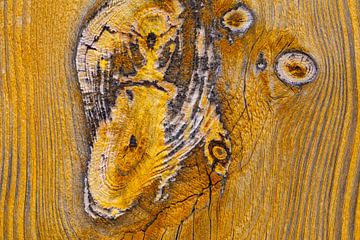 Verweerd hout in close-up van Chris Stenger
