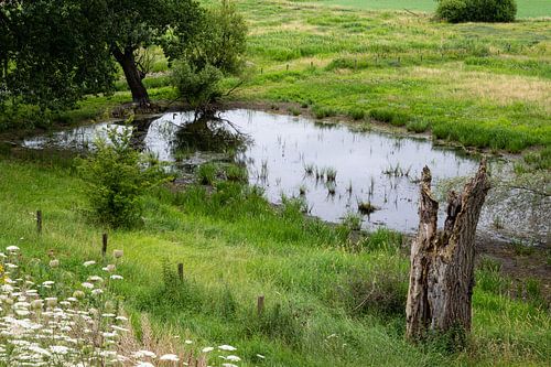 View over the natural floodplain with agriculture field and wetl