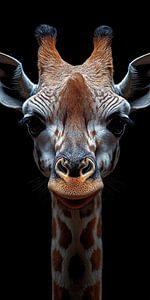 Porträt einer Giraffe