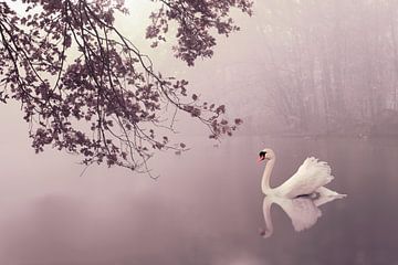 Romantic Autumn mist by Elianne van Turennout