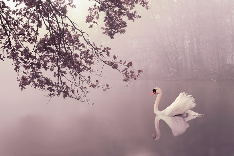 Romantic Autumn mist par Elianne van Turennout