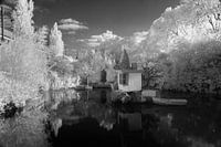 This "false color" infrared photo of the school gardens in Amsterdam is made with 