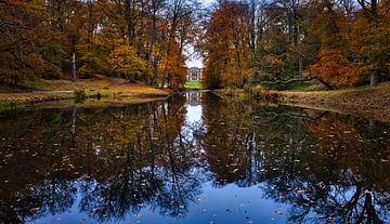 forest reflection by peterheinspictures