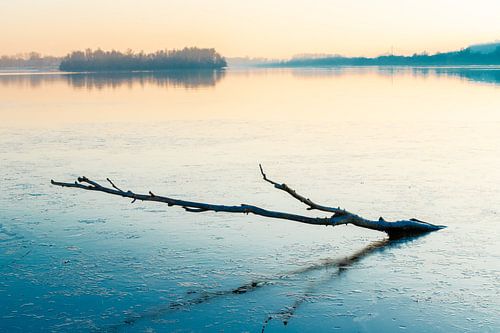 Winterlicher Sonnenuntergang an einem Teich mit schönen Spiegelungen von Kim Willems