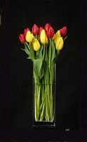  3 D canvasprint, tulpen in vaas, zwarte achtergrond,tulip,tulips