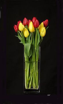  3 D canvasprint, tulpen in vaas, zwarte achtergrond,tulip,tulips