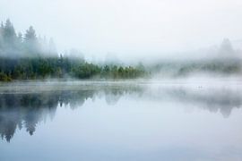 November in August by Daniela Beyer