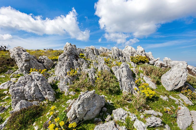 Berg mit Felsen in der Landschaft von Kefalonia Griechenland von Ben Schonewille