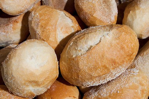 Harde broodjes wit