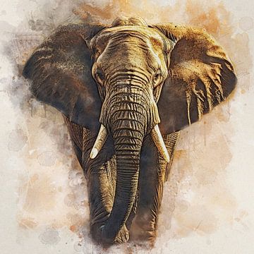 Olifant
