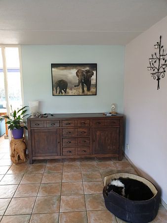 Elefantenmutter und Kalb