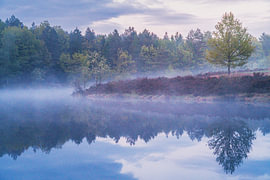 fog lights by Pure Moments Photographie