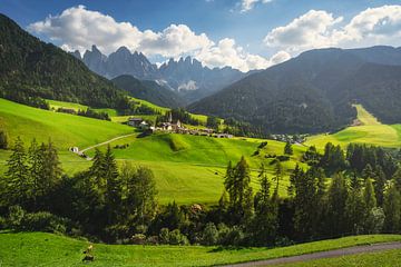 Dolomites, Santa Magdalena view and Odle mountains. by Stefano Orazzini