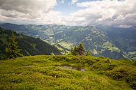 Mountain landscape by Alena Holtz thumbnail