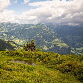 Mountain landscape by Alena Holtz