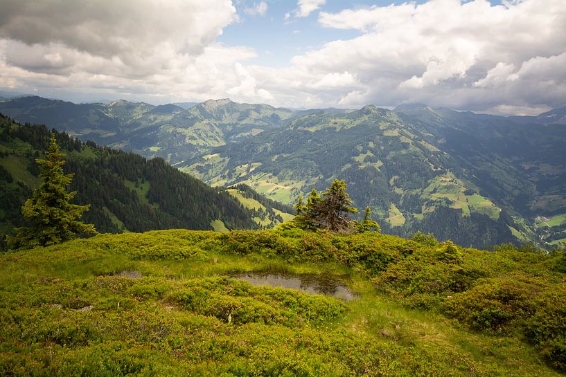 Mountain landscape by Alena Holtz