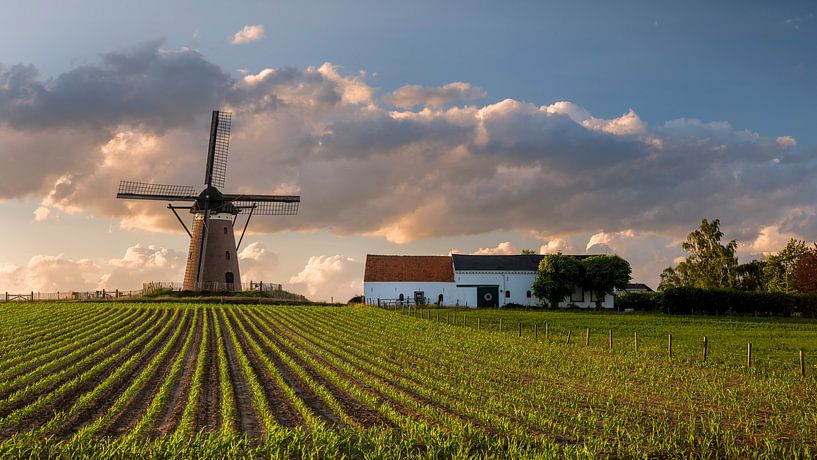 Düffels Möl - Montferland by Natuurlijk Achterhoek
